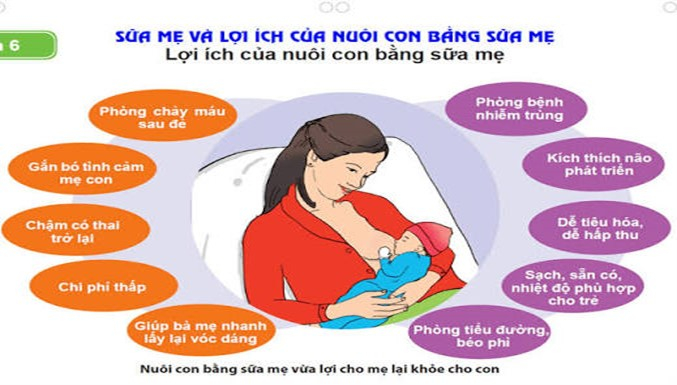 huong ung tuan le nuoi con bang sua me tu ngay 1   7   8  2026 tam quan trong cua nuoi con bang sua me